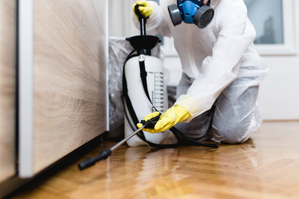 Best Cockroach Control Services  in Shreve, OH