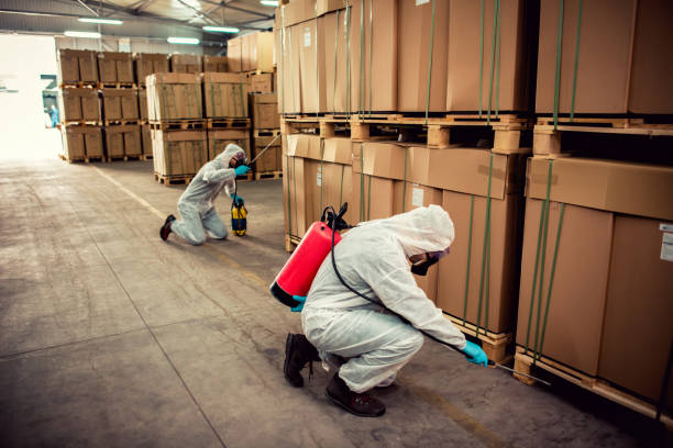 Flea Control Services in Shreve, OH