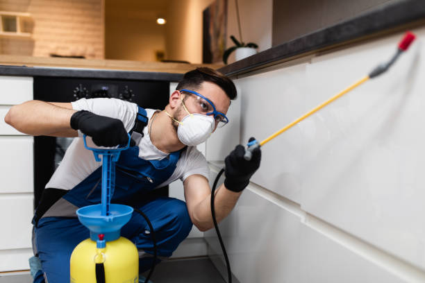 Best Best Pest Control Companies  in Shreve, OH