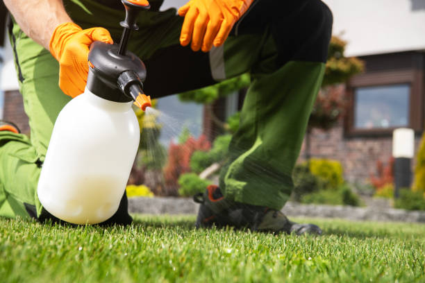 Best Exterminator Services  in Shreve, OH