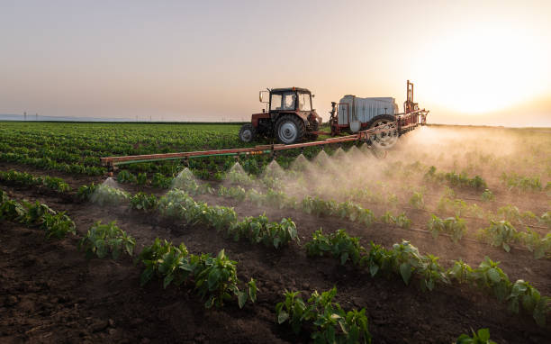Best Commercial Pest Control Services  in Shreve, OH