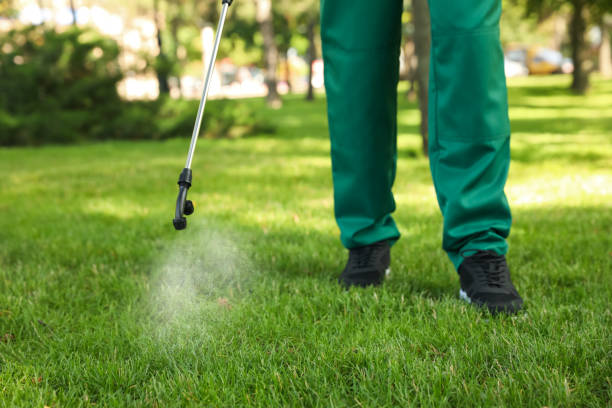Best Residential Pest Control  in Shreve, OH