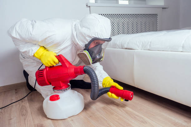 Best Pest Removal Services  in Shreve, OH