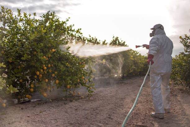 Best Cockroach Control Services  in Shreve, OH
