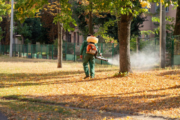 Pest Prevention Services in Shreve, OH