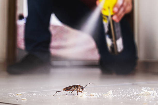 Wildlife Control Services in Shreve, OH