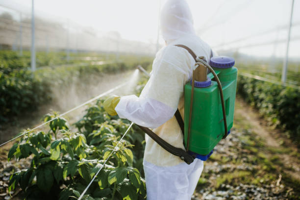 Best Wildlife Control Services  in Shreve, OH
